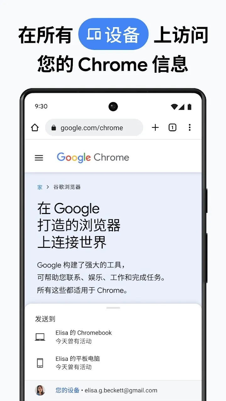 Google Chrome 截图 5