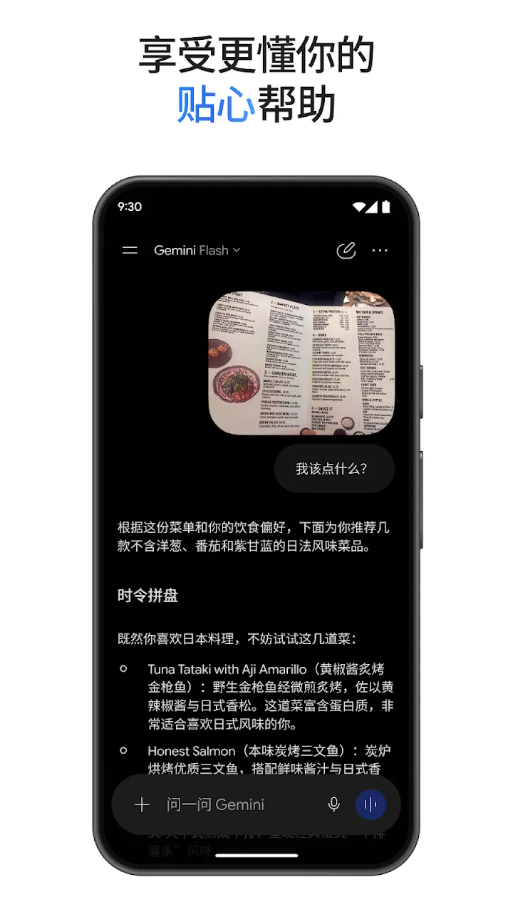 Google Gemini 截图 8