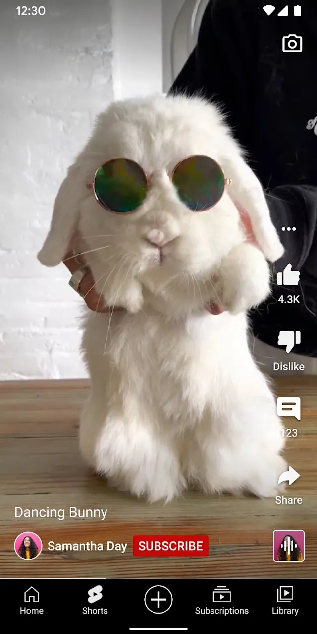 YouTube 截图 2