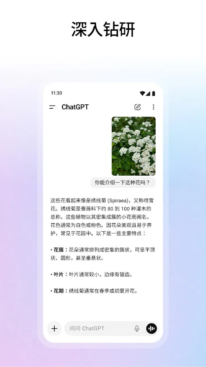 ChatGPT 截图 6