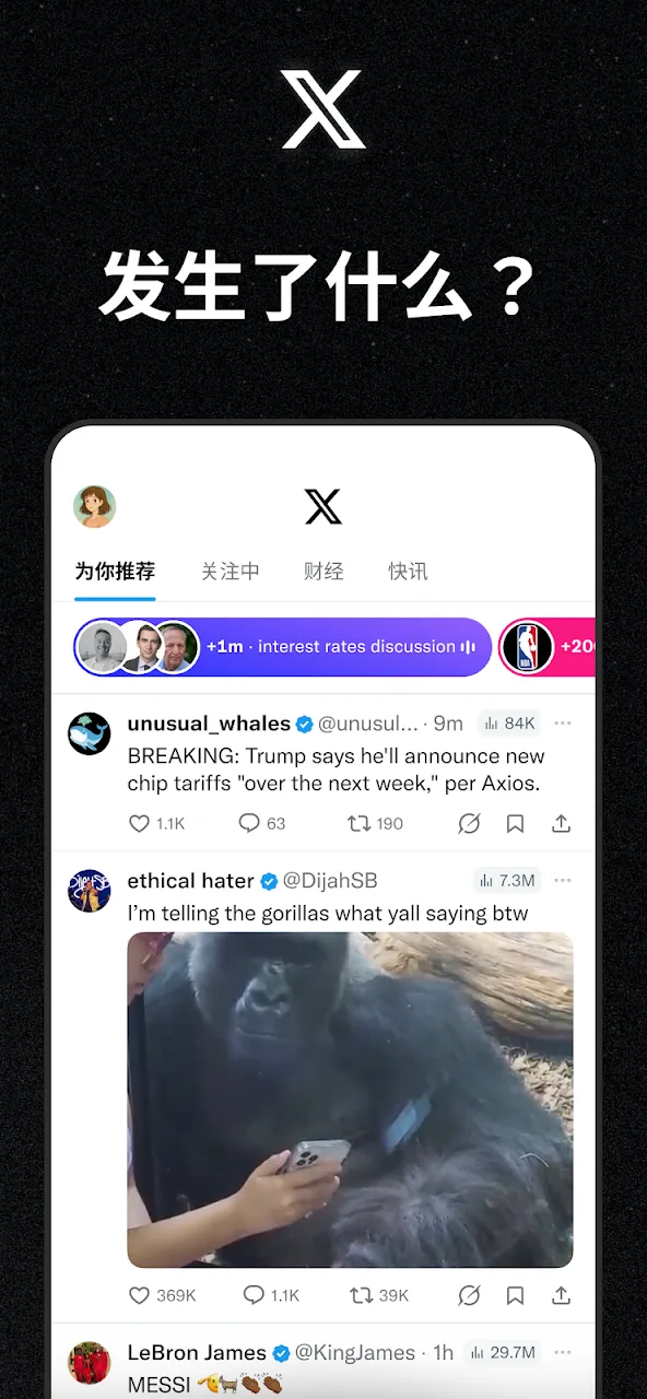 X 截图 1